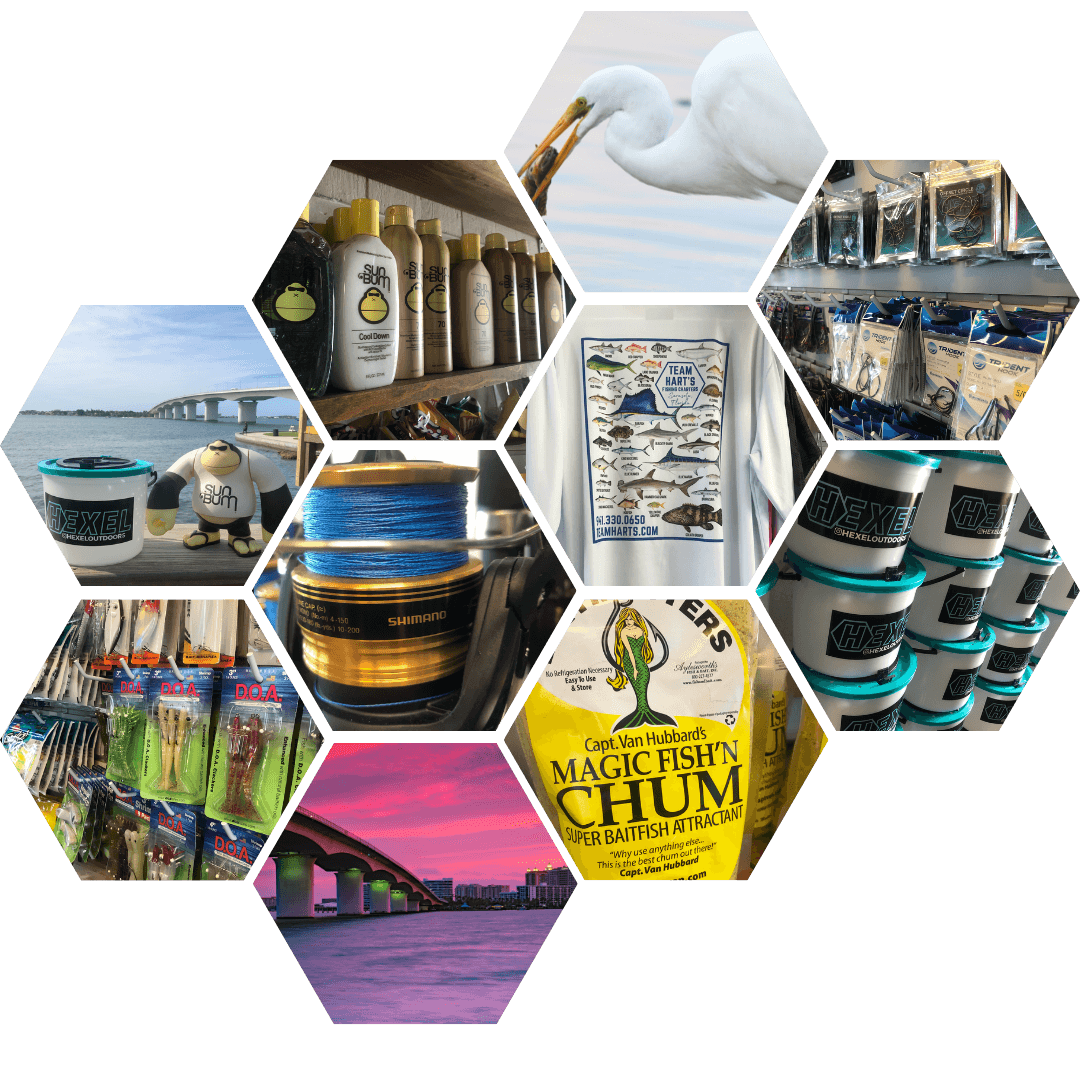 Collage of Hart's Landing: the causeway bridge, sunset over the bay, tackle racks, bait buckets, and the charter shirt